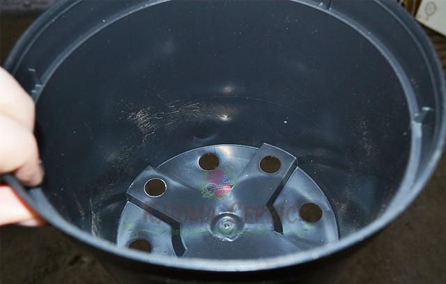 фото горшок 20 литров для растений