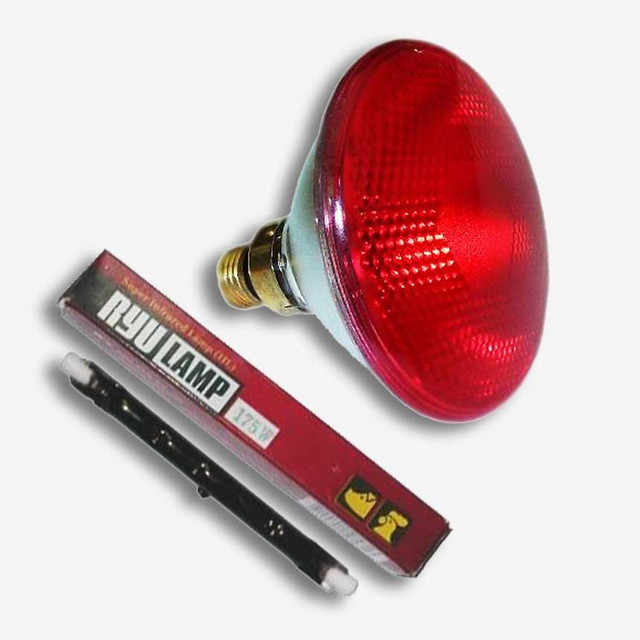 инфракрасные лампы для обогрева свиней, инфракрасные лампы купить, заказать инфракрасные лампы в Украине