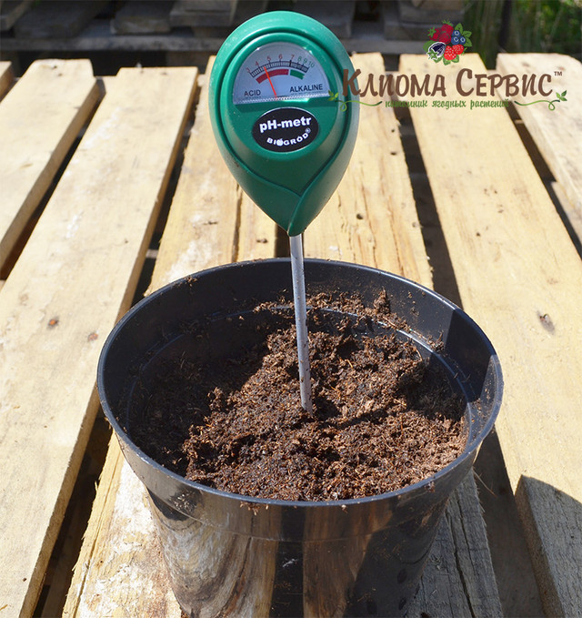 торф верховой купить в Украине, измерение кислотности торфа для растений